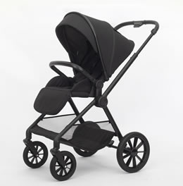2-in-1 High-View Stroller Z1
