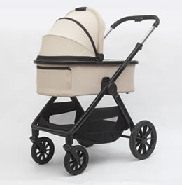 2-in-1 High-View Stroller D1