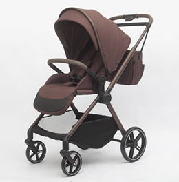 2-in-1 High-View Stroller Z1